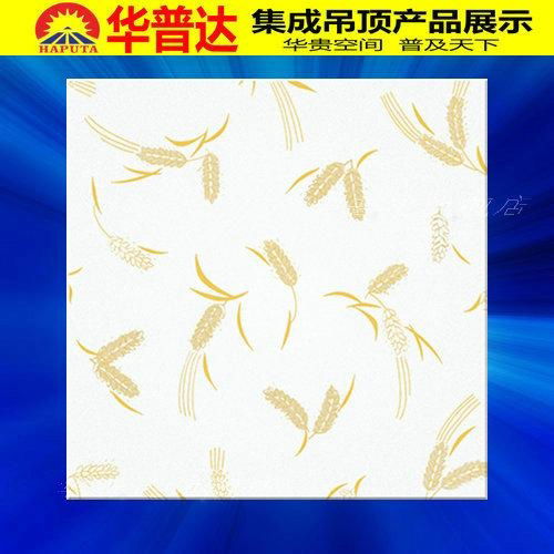 Aluminium decorative Ceiling Tile for Decoration (HT-551) 3