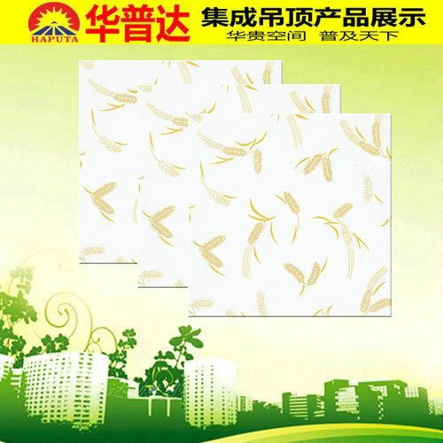 Aluminium decorative Ceiling Tile for Decoration (HT-551) 4