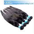 Kabeilu KBL Brazilian Virgin Human Hair Factory Price  3