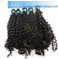 Kabeilu KBL Brazilian Virgin Human Hair Factory Price  5