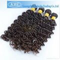KBL Wholesale Hair Extensions, 100%
