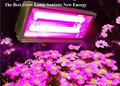 Indoor Garden Hydroponics 110v 220v 240v Magnectic Induction Grow Lights