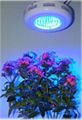 75W UFO LED Grow Light Hot Sale Full Spectrum Blue Red LED Grow UFO Series 4