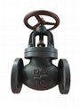 JIS MARINE  GLOBE CHECK VALVE FC