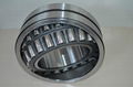 Spherical Roller Bearings 1