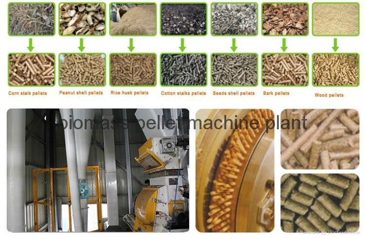 The Biomass pellet production line show cases 2