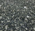 Sophora flower green granite