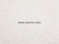 YISENNI new products modern design wall coating for interior decoration