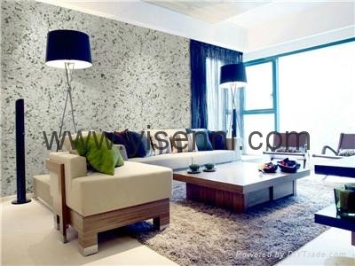 China manufacturer building decoration material wall coating