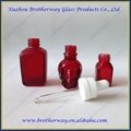 Red Glass E-Juice Bottle