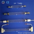 UV curing lamp 1