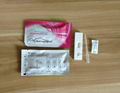 HCG Pregnancy Test Kits 3