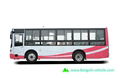City bus 2