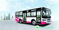 City bus 3