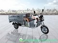 Electronic Tricycles