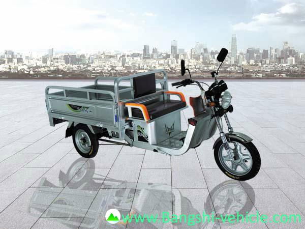 Electronic Tricycles 2