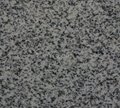 Sesame grey polished slab