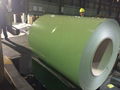 Prepainted steel coils  1