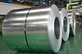 Galvanized steel coils  5