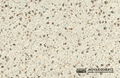 3060 Sandy Stone Quartz Stone 4