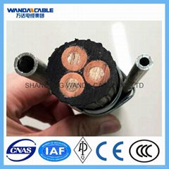 Electrical Submersible Pump Cable