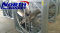 50 inch poultry exhaust fan 2