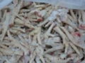 Frozen Chicken Feet