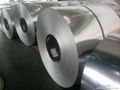 Stainless Steel Coil