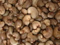 unprocessed cashew nuts 1