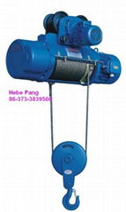 Wire Rope Electric Hoist 