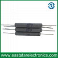 RX21 100 ohm resistor wirewound resistor