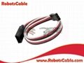 Servo Extension Cable