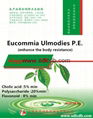 eucommia leaf extract 2