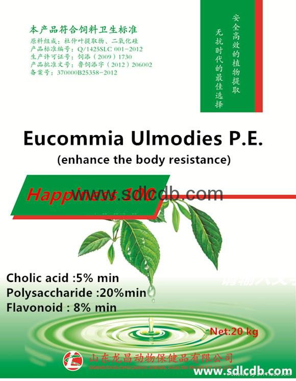 eucommia plant extraction