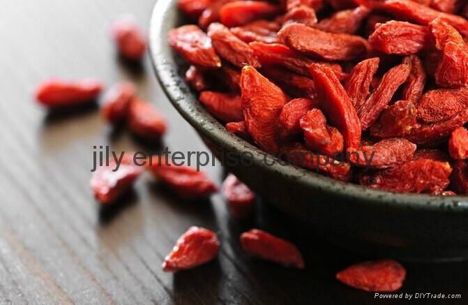 2015 China High Quality Ningxia Bulk Fresh Dried berry goji,wolfberry seeds