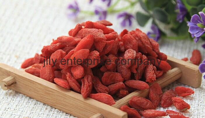 2015 China High Quality Ningxia Bulk Fresh Dried berry goji,wolfberry seeds 2