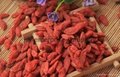 2015 China High Quality Ningxia Bulk Fresh Dried berry goji,wolfberry seeds 4