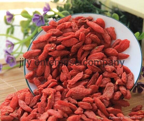 2015 China High Quality Ningxia Bulk Fresh Dried berry goji,wolfberry seeds 5