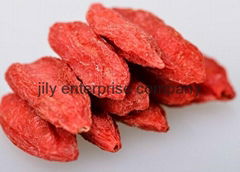 dried goji berry 100% natural high Quantity 2015 new crop medlar