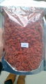 dried goji berry 100% natural high Quantity 2015 new crop medlar 5