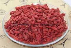 wholesale export extract certified organic ningxia goji berry