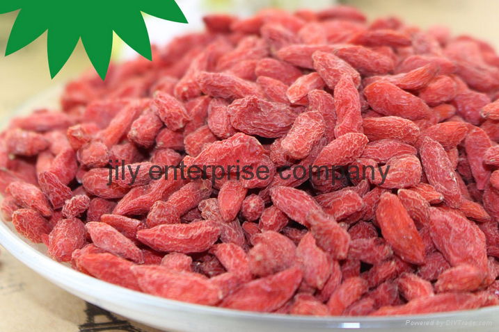 wholesale export extract certified organic ningxia goji berry 5