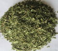 Stevia 2