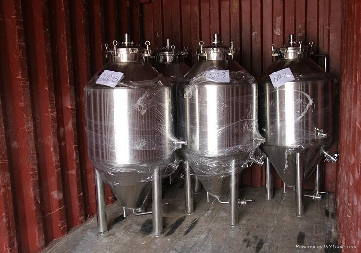 200L Fermentation Tanks for beer manufacturing 2