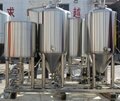 50L home brewery mini beer brewing equipment for pub 3