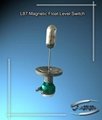 Magnetic Level Switch