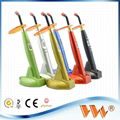 dental led curing light built in dental led light 1