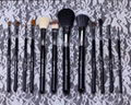 Hot selling 12pcs Sigma makeup brush set 