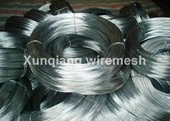 Galvanized Wire