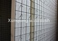 3D EPS Wire Mesh Panel 1